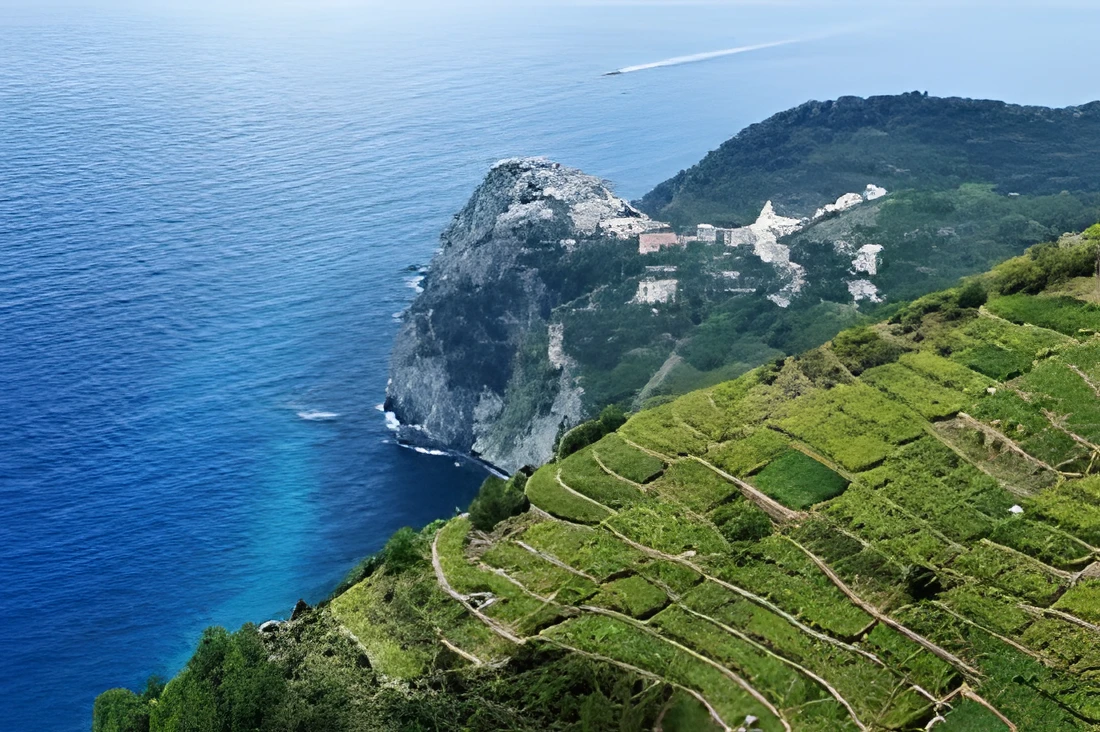 A coastal village inside a protected corridor — scenario illustration